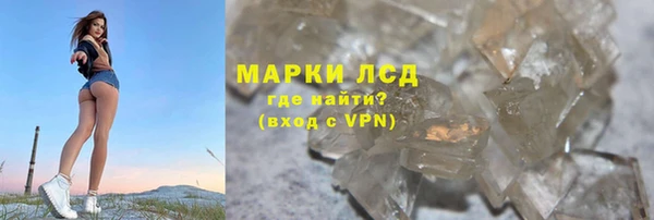 спиды Нефтекумск